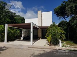 3 chambre Villa for sale in Cozumel, Quintana Roo, Cozumel