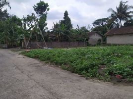  Land for sale in Prambanan, Klaten, Prambanan