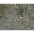  Land for sale in Tarimbaro, Michoacan, Tarimbaro