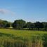  Land for sale in Castillejos, Central Luzon, Castillejos