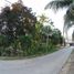  Grundstück zu verkaufen in Tagbilaran City, Central Visayas, Tagbilaran City