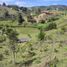  Land for sale in Marinilla, Antioquia, Marinilla