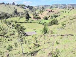  Terreno (Parcela) en venta en Marinilla, Antioquia, Marinilla