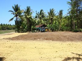  Tanah for sale in Pengasih, Kulon Progo, Pengasih