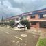 5 Schlafzimmer Villa zu vermieten in Sabaneta, Antioquia, Sabaneta