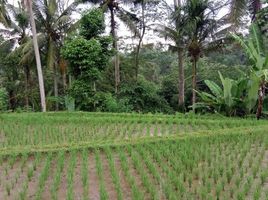  Tanah for sale in Payangan, Gianyar, Payangan