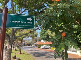  Terreno (Parcela) en venta en Villa Guerrero, México, Villa Guerrero, México
