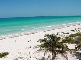  Grundstück zu verkaufen in Lazaro Cardenas, Quintana Roo, Lazaro Cardenas