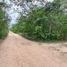 Terrain à vendre à Conkal, Yucatan, Conkal