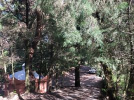  Terreno (Parcela) en venta en Tepoztlan, Morelos, Tepoztlan