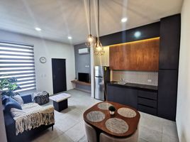 在Campeche出租的1 卧室 住宅, Carmen, Campeche