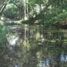  Land for sale in Champoton, Campeche, Champoton