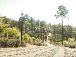  Terreno (Parcela) en venta en Atemajac De Brizuela, Jalisco, Atemajac De Brizuela