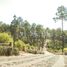  Land for sale in Atemajac De Brizuela, Jalisco, Atemajac De Brizuela