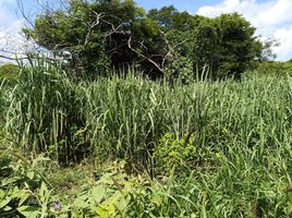  Grundstück zu verkaufen in Acanceh, Yucatan, Acanceh