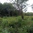  Grundstück zu verkaufen in Acanceh, Yucatan, Acanceh