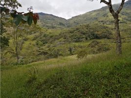  Terreno (Parcela) en venta en Cocorna, Antioquia, Cocorna