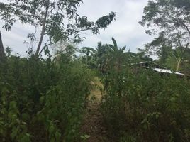  Land for sale in Dauis, Bohol, Dauis