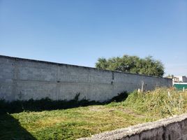  Terreno (Parcela) en venta en Tequisquiapan, Querétaro, Tequisquiapan