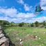  Land for sale in Alto Boquete, Boquete, Alto Boquete