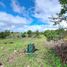  Land for sale in Alto Boquete, Boquete, Alto Boquete