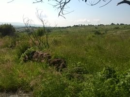 Grundstück zu verkaufen in Zapotlanejo, Jalisco, Zapotlanejo