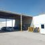  Land for rent in Torreon, Coahuila, Torreon, Coahuila