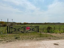  Terreno (Parcela) en venta en Gualeguaychu, Entre Rios, Gualeguaychu