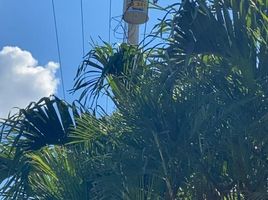  Grundstück zu verkaufen in Yaxkukul, Yucatan, Yaxkukul