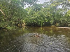 4 Schlafzimmer Haus zu verkaufen in Santiago, Veraguas, Los Algarrobos, Santiago, Veraguas