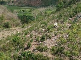  Tanah for sale in Lombok Tengah, West Nusa Tenggara, Praya, Lombok Tengah