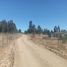  Terreno (Parcela) en venta en Chile, Lolol, Colchagua, Libertador General Bernardo O'Higgins, Chile