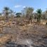  Land for sale in Los Algarrobos, Veraguas, Los Algarrobos, Santiago