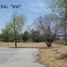  Land for rent in San Luis Potosi, San Luis Potosi, San Luis Potosi, San Luis Potosi