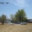 Land for rent in San Luis Potosi, San Luis Potosi, San Luis Potosi, San Luis Potosi