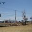  Land for rent in San Luis Potosi, San Luis Potosi, San Luis Potosi, San Luis Potosi
