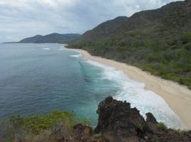  Terrain for sale in Sumba Barat, East Nusa Tenggara, Loli, Sumba Barat