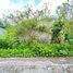  Terreno (Parcela) en venta en Ngaglik, Yogyakarta, Ngaglik, Sleman, Yogyakarta