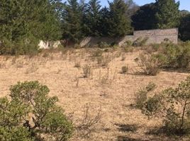  Grundstück zu verkaufen in Jilotepec, Mexico, Jilotepec