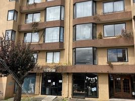 3 Habitación Departamento en venta en Los Lagos, Osorno, Osorno, Los Lagos