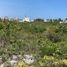  토지을(를) Chicxulub Pueblo, 유카탄에서 판매합니다., Chicxulub Pueblo