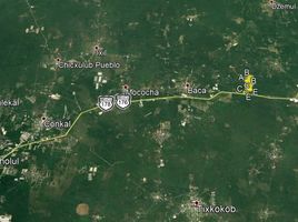  Terreno (Parcela) en venta en Motul, Yucatán, Motul