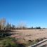  Terreno (Parcela) en venta en San Rafael, Mendoza, San Rafael