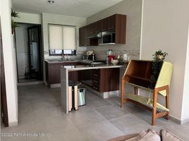 3 Habitación Apartamento en alquiler en Miguel Hidalgo, Ciudad de México, Miguel Hidalgo