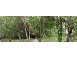  Land for sale in Cocle, Anton, Anton, Cocle