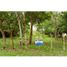  Land for sale in Cocle, Anton, Anton, Cocle