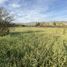  Land for sale in Chile, Santiago, Santiago, Santiago, Chile