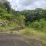 Terreno (Parcela) en venta en Veracruz, Coatepec, Veracruz