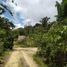  Terreno (Parcela) en venta en Veracruz, Coatepec, Veracruz