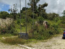  Terreno (Parcela) en venta en Veracruz, Coatepec, Veracruz
